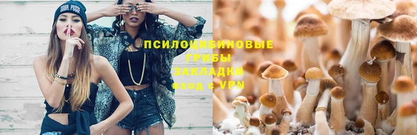 MDMA Premium VHQ Новозыбков