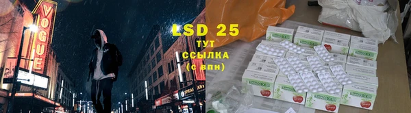 стаф Новодвинск
