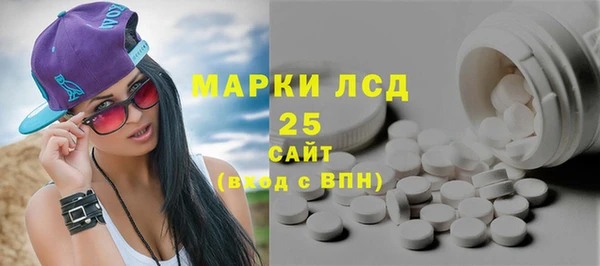 стаф Новодвинск
