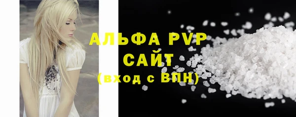 стаф Новодвинск