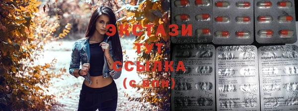 стаф Новодвинск