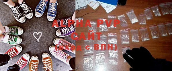 стаф Новодвинск