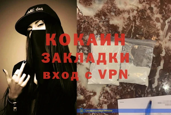 стаф Новодвинск