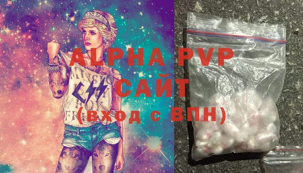 стаф Новодвинск