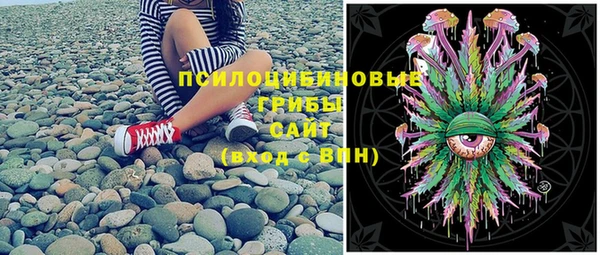 MDMA Premium VHQ Новозыбков