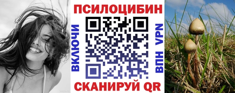 мега вход Бабаево Псилоцибиновые грибы MAGIC MUSHROOMS